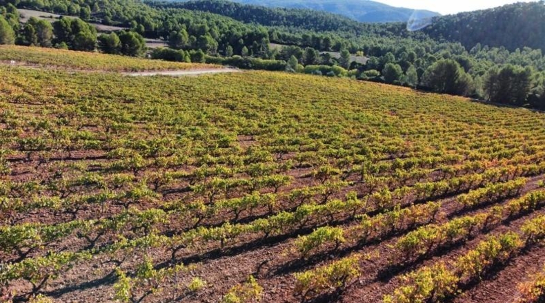 Valencia - Ayora - 2090000m2