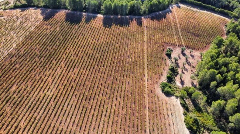 Valencia - Ayora - 2090000m2