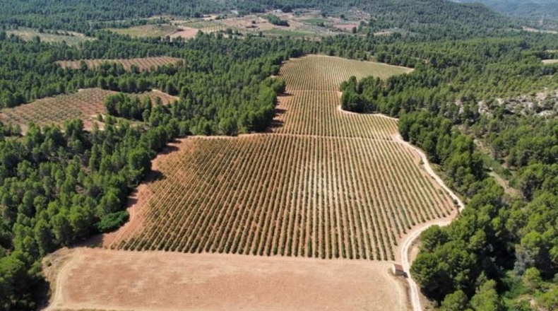 Valencia - Ayora - 2090000m2