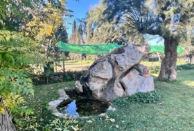 Foto 6