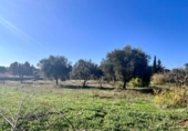 Chalet independiente con terreno en venta en la España, Inca, ref: TR198884 foto