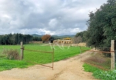 Chalet independiente con terreno en venta en la España, Palafrugell, ref: TR171022 foto