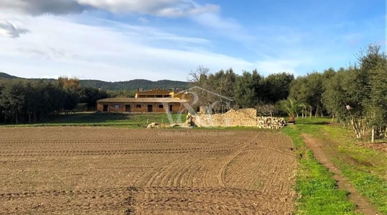 Gerona - Palafrugell - 22000m2