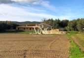 Chalet independiente con terreno en venta en la España, Palafrugell, ref: TR171022 foto