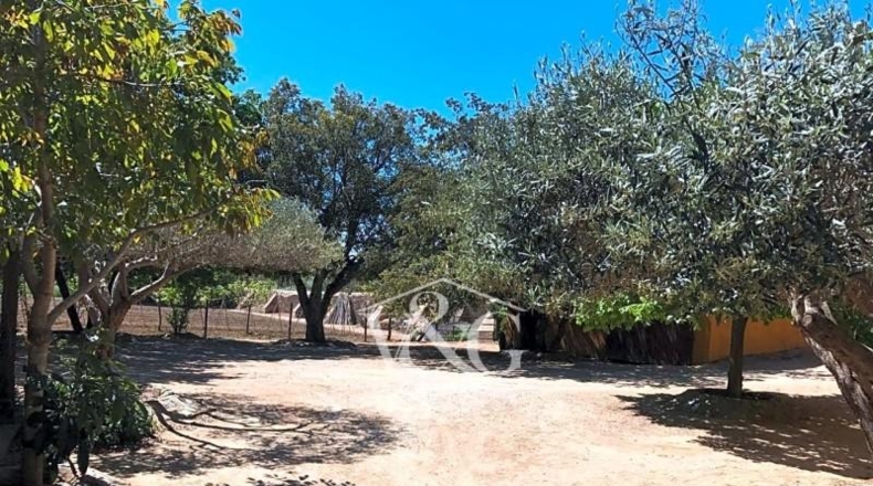 Gerona - Palafrugell - 22000m2