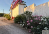 Country house with land for sale on España, Lucena, ref: TR243762 photo