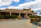 Chalet independiente con terreno en venta en la España, Elche, ref: TR288759 foto