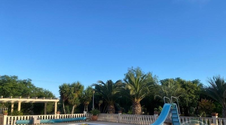 Alicante - Elx - 10000m2