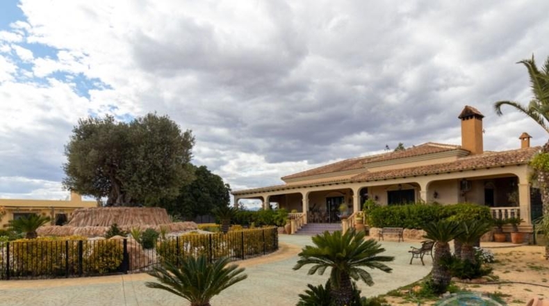 Alicante - Elx - 10000m2
