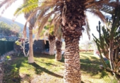 Chalet independiente con terreno en venta en la España, Santiago del Teide, ref: TR240483 foto