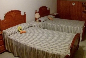 Foto 12