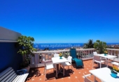 Chalet independiente con terreno en venta en la España, Icod de los Vinos, ref: TR144001 foto