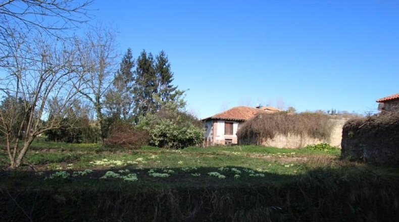 Cantabria - Cabezón de la Sal - 5395m2