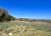 Chalet independiente con terreno en venta en la España, Petra, ref: TR144536 foto