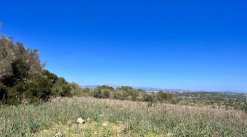 Islas Baleares - Petra - 252609m2
