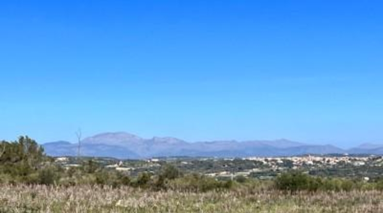 Islas Baleares - Petra - 252609m2