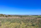Chalet independiente con terreno en venta en la España, Petra, ref: TR144536 foto