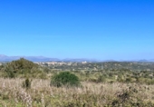 Chalet independiente con terreno en venta en la España, Petra, ref: TR144536 foto