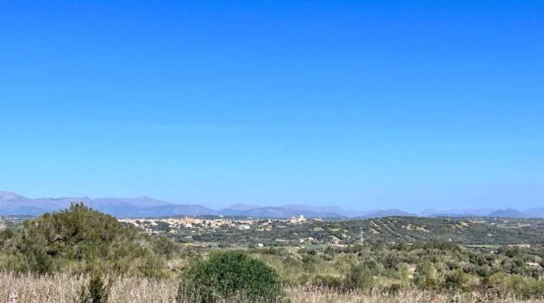 Islas Baleares - Petra - 252609m2