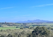 Chalet independiente con terreno en venta en la España, Petra, ref: TR144536 foto