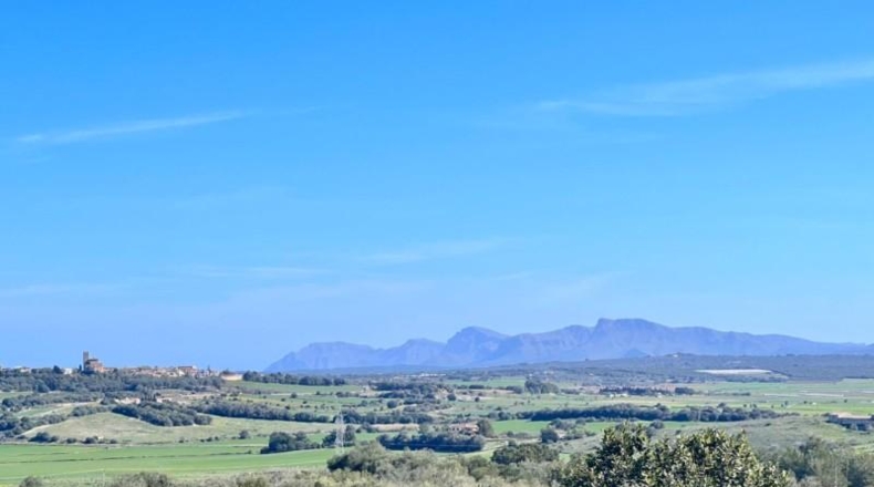 Islas Baleares - Petra - 252609m2
