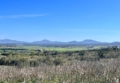 Chalet independiente con terreno en venta en la España, Petra, ref: TR144536 foto