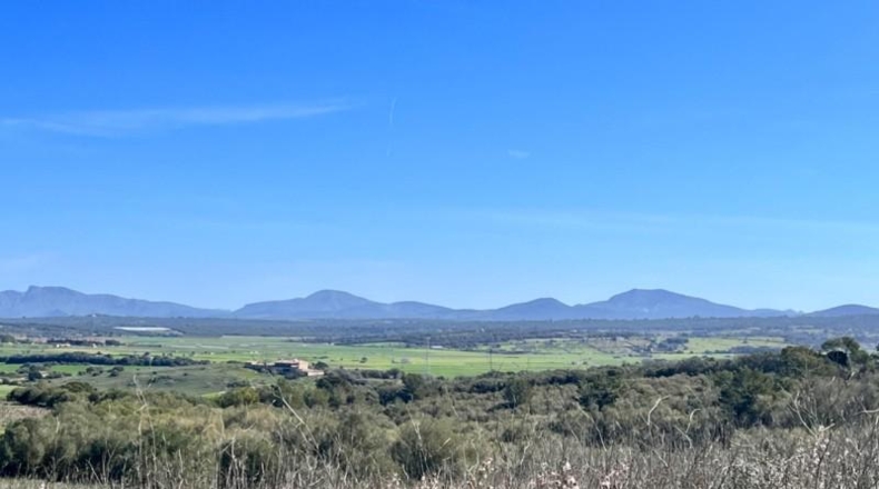 Islas Baleares - Petra - 252609m2