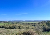 Chalet independiente con terreno en venta en la España, Petra, ref: TR144536 foto