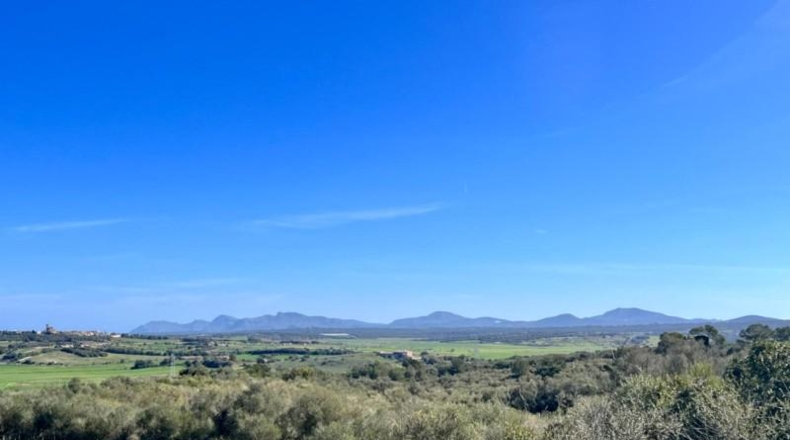 Islas Baleares - Petra - 252609m2