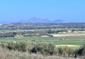 Chalet independiente con terreno en venta en la España, Petra, ref: TR144536 foto