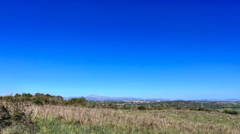 Islas Baleares - Petra - 252609m2