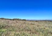 Chalet independiente con terreno en venta en la España, Petra, ref: TR144536 foto