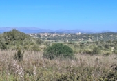 Chalet independiente con terreno en venta en la España, Petra, ref: TR144536 foto