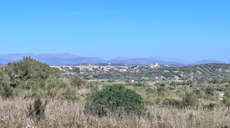 Islas Baleares - Petra - 252609m2