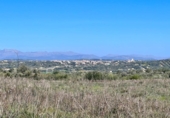Chalet independiente con terreno en venta en la España, Petra, ref: TR144536 foto
