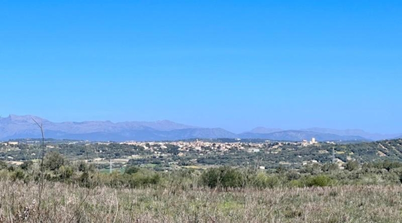 Islas Baleares - Petra - 252609m2