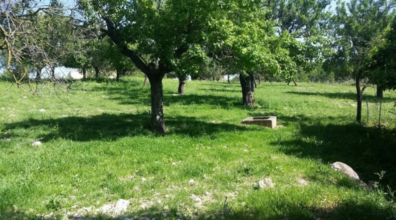 Islas Baleares - Campanet - 45000m2