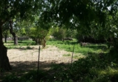 Chalet independiente con terreno en venta en la España, Campanet, ref: TR135067 foto