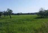 Chalet independiente con terreno en venta en la España, Campanet, ref: TR135067 foto