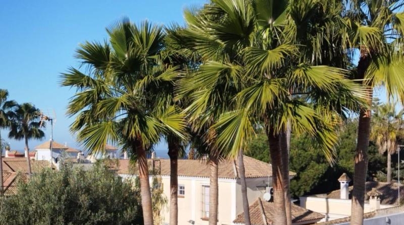 Cádiz - Sanlúcar de Barrameda - 1014m2