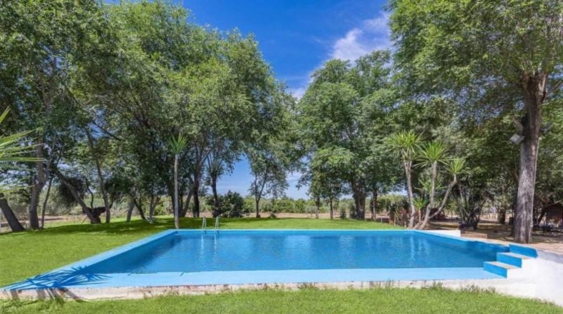 Sevilla - Marchena - 133000m2