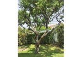 Casa de campo con terreno en venta en la España, Vigo, ref: TR133118 foto