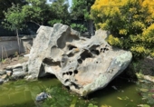 Casa de campo con terreno en venta en la España, Vigo, ref: TR133118 foto