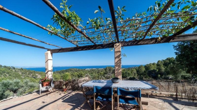 Islas Baleares - Calvià - 900m2