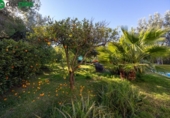 Chalet independiente con terreno en venta en la España, Píñar, ref: TR400003 foto