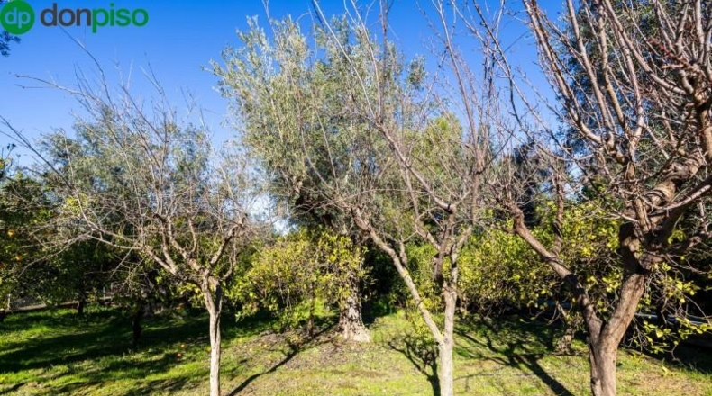 Granada - Píñar - 1713m2