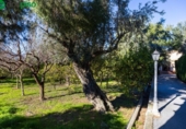 Chalet independiente con terreno en venta en la España, Píñar, ref: TR400003 foto
