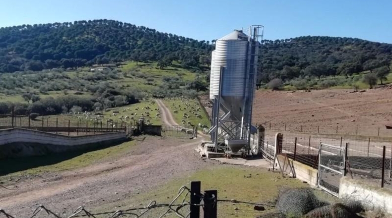 Sevilla - Almadén de la Plata - 800000m2