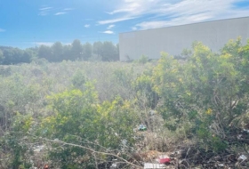 Foto 19