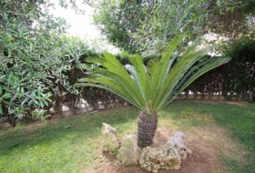 Foto 8